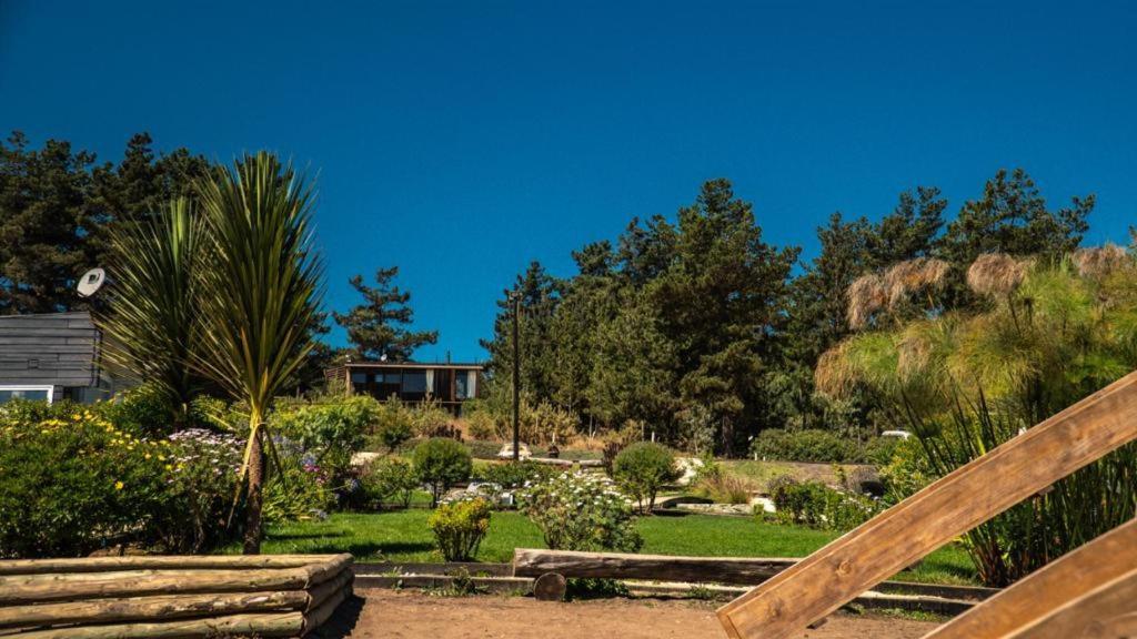 Curi Lodge بتشيلمو المظهر الخارجي الصورة